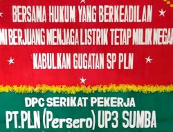 Sidang Lanjutan Gugatan RUPTL 2025–2034: Saksi Tergugat ESDM Perkuat Dalil Gugatan SP PLN