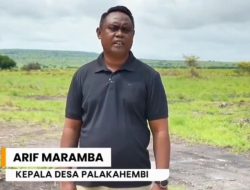 Tokoh Adat dan Pemdes Palakahembi Kompak Dukung Tambak Udang, Sumba Timur Siap Jadi Sentra Ekonomi Pesisir